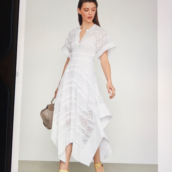 BCBGMaxAzria Dresses & Skirts - Bcbgmaxazira striped dot lace asymmetric dress nwt